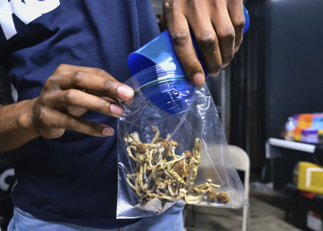 Image of man weighing out mushrooms, inside a mushroom dispensary.