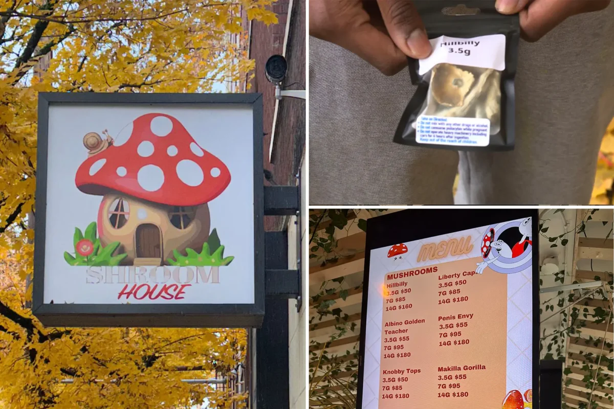 Picture of a shop selling Shrooms Near Portland