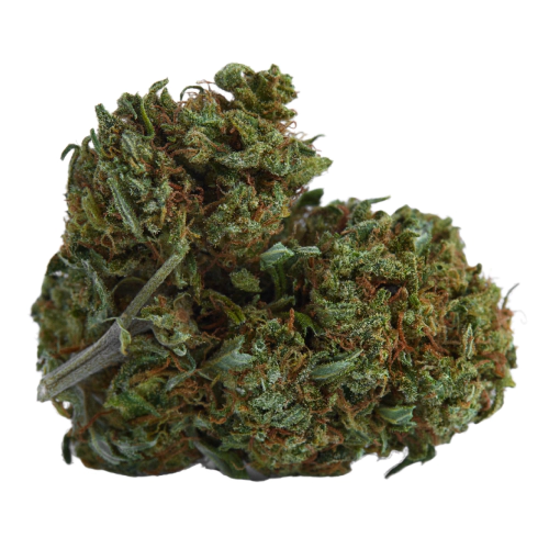indica-dominant-hybrid_1228043695