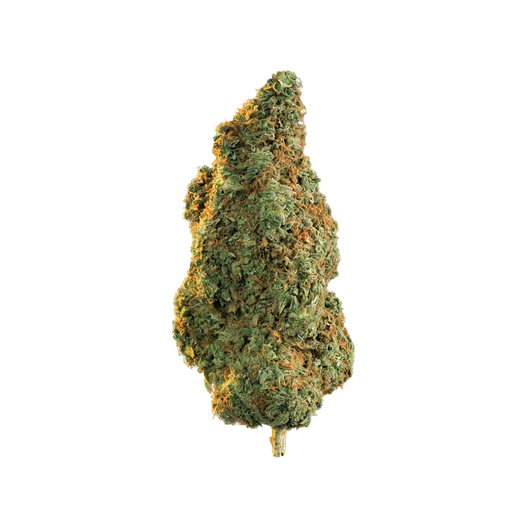 Untitled-design-10 (2)