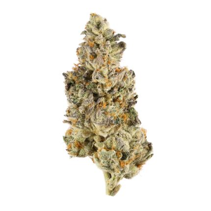 3.5 Grams Exotic - Blackberry Caviar by Cookies (Indica) 36.97% THC