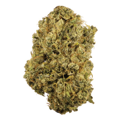 3.5 Grams Super Exotic - Durban Poison (Sativa) 36.8% THC