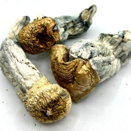 28 Grams A.P.E. XXX