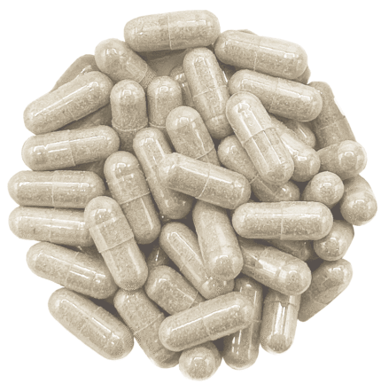 4G Magic Mushroom Micro-Dose Capsules - by Mushies