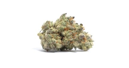 3.5 Grams Mid Shelf - Bluephoria (Sativa) 27%THC