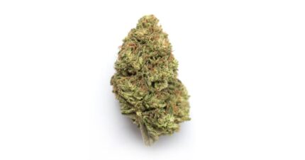3.5 Grams Mid Shelf - Gelato Runtz (Hybrid) 28%THC