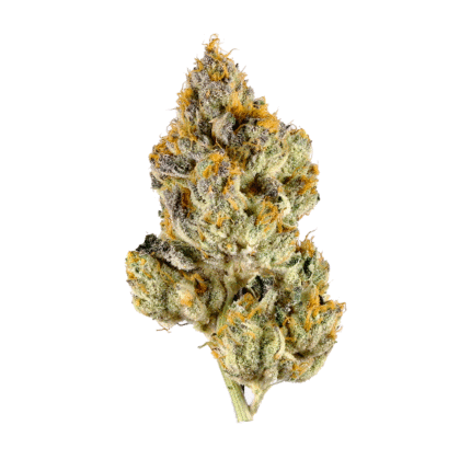 3.5 Grams Super Exotic - Skunk#1 (Hybrid) 37% THC